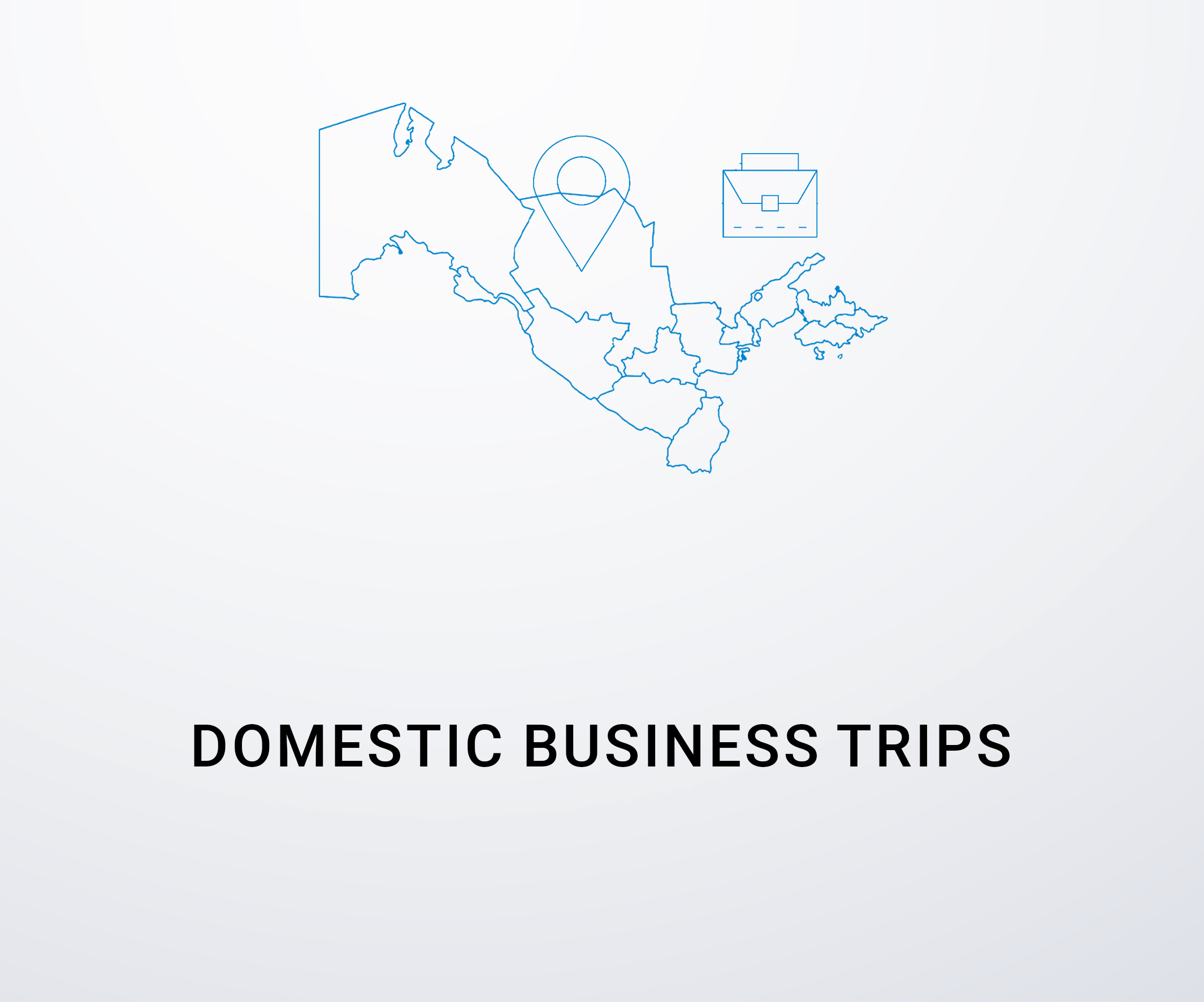 Information on domestic business trips
